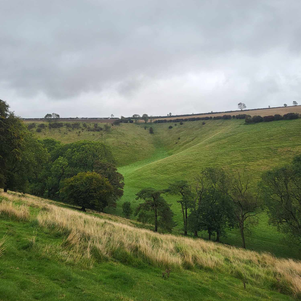 Farm Dalesides at Autumn