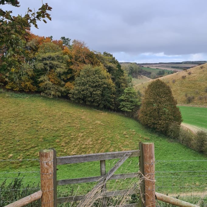 Autumn Farm Views