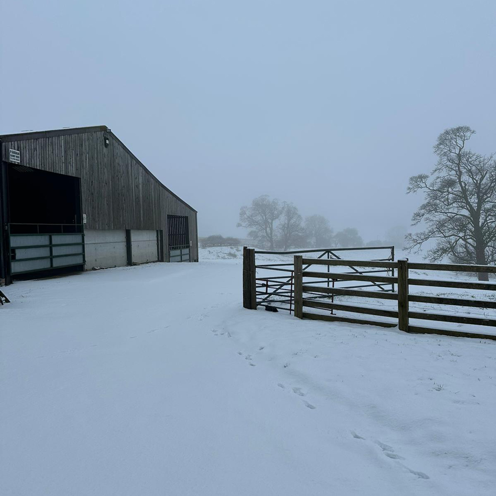 Snowy Farm November