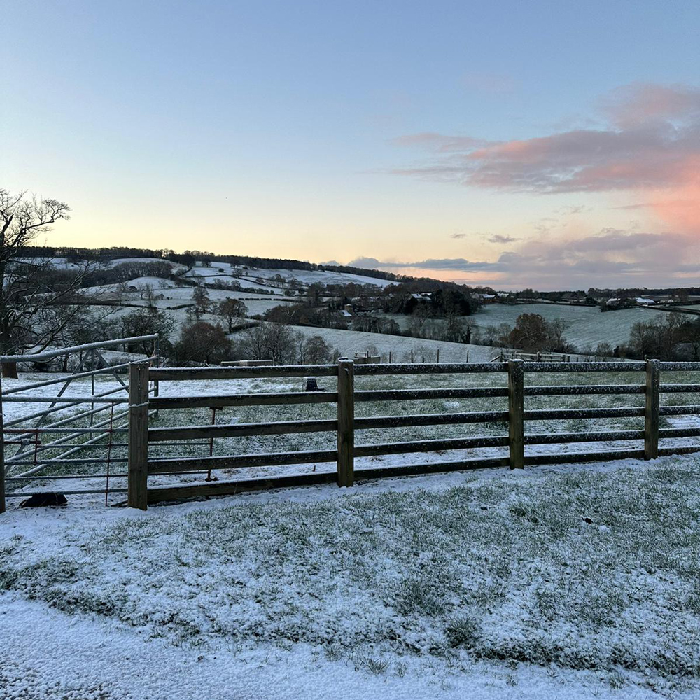 Snowy Farm Views