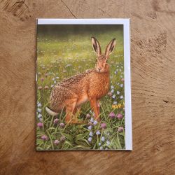 Hare in Wildflowers Gift Card