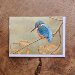Kingfisher on Willow Gift Card