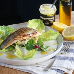 Yorkshire Rapeseed Oil Recipe - Seabass with Celeriac Remoulade, Salad & Yorkshire Lemon Mayonnaise