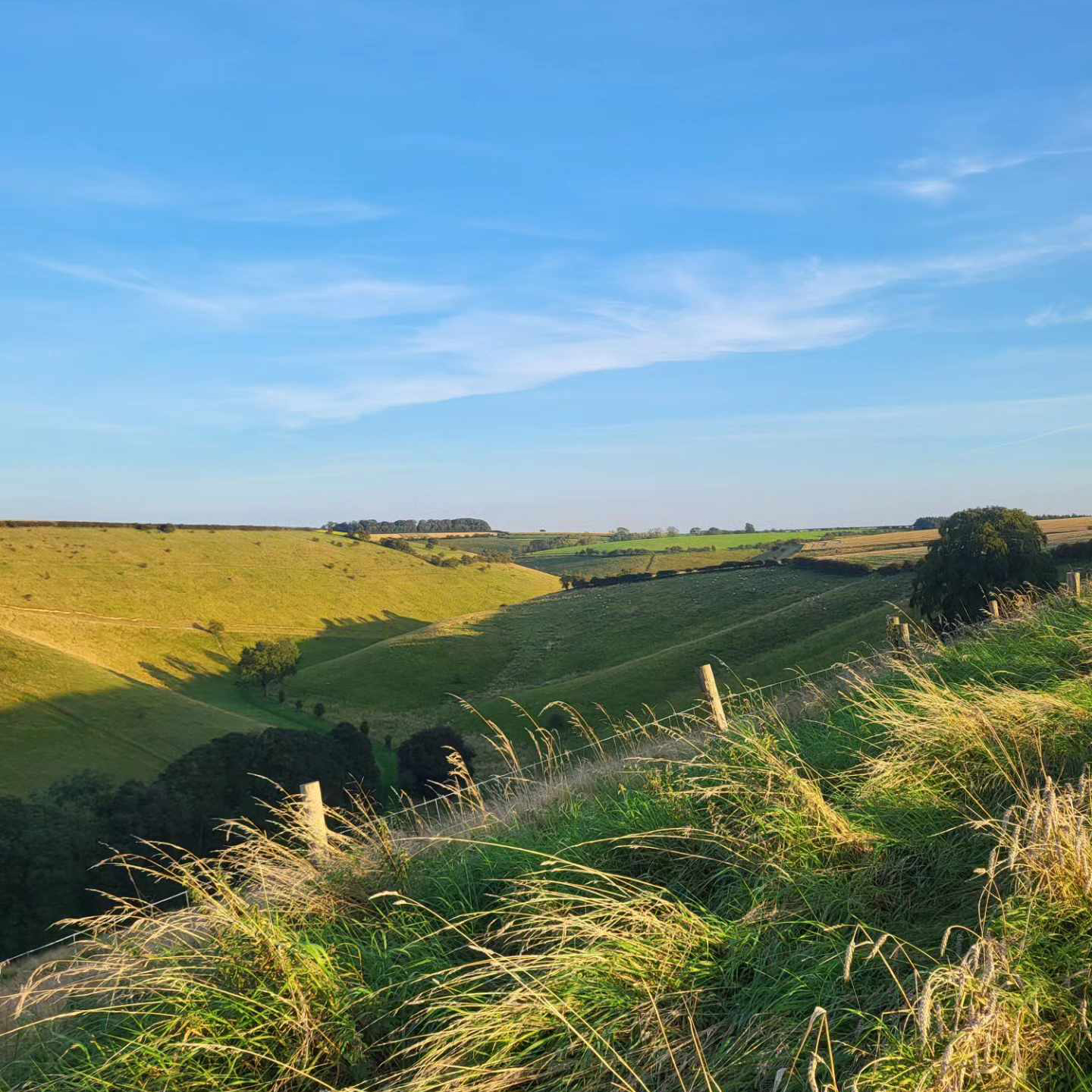 Yorkshire Wolds Way Views Summer