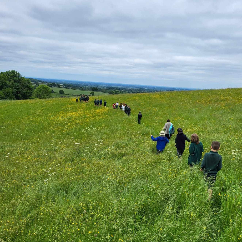 School children on farm walk