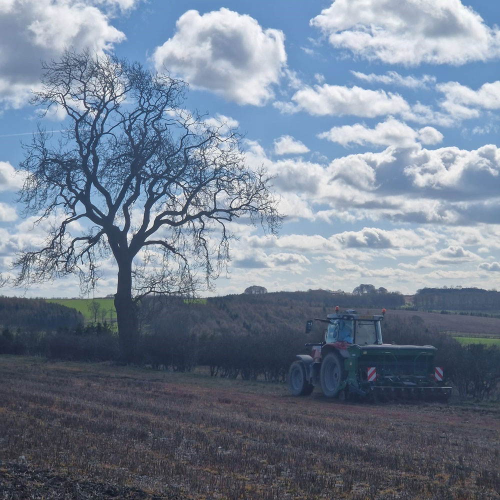 Tractor drilling in the field