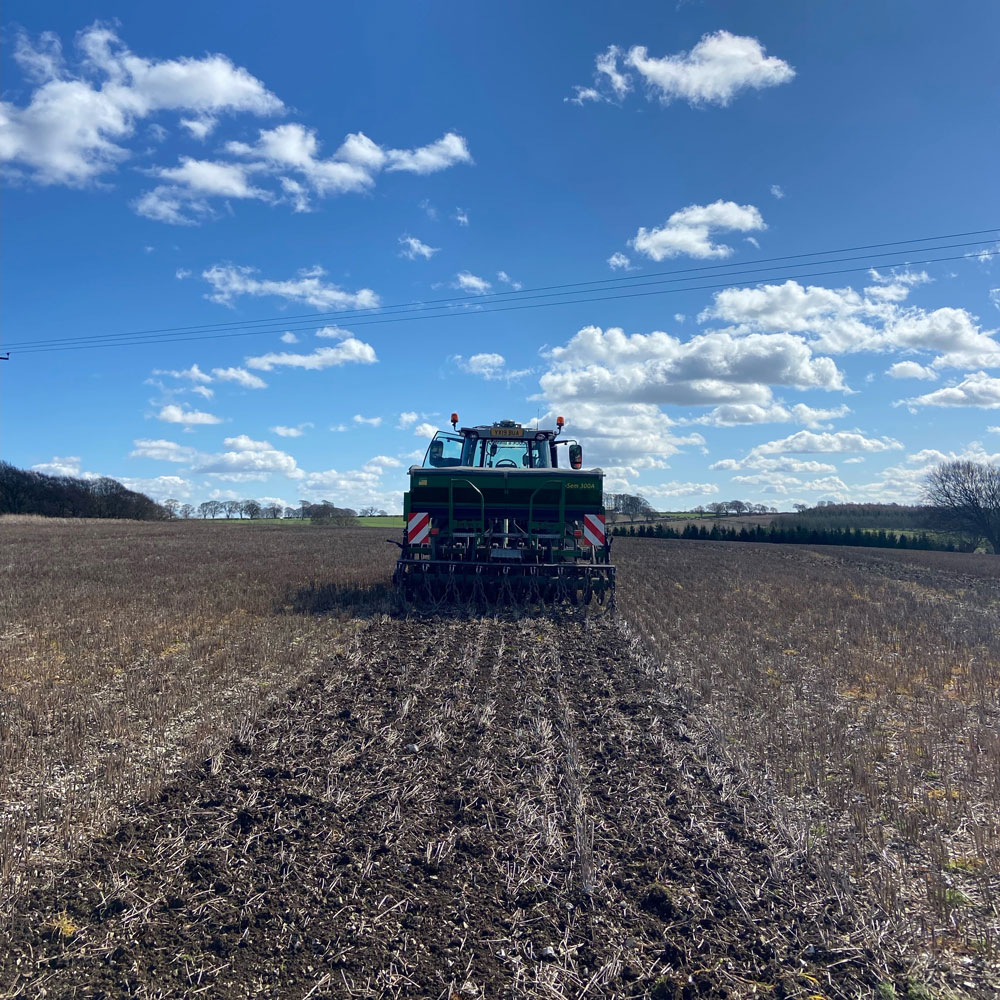 Tractor drilling in the field